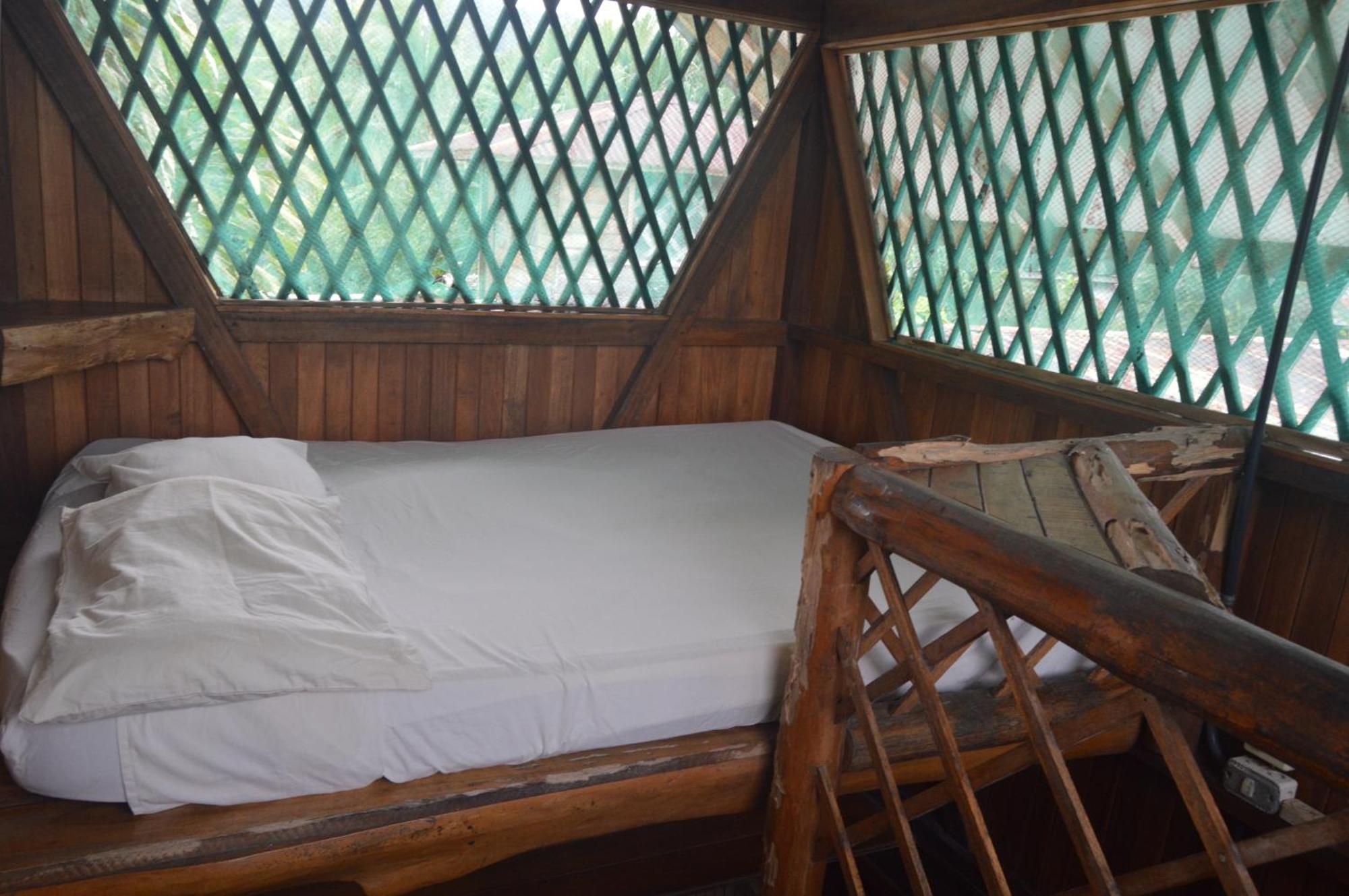 Hotel Puerto Viejo Puerto Viejo de Talamanca Zewnętrze zdjęcie