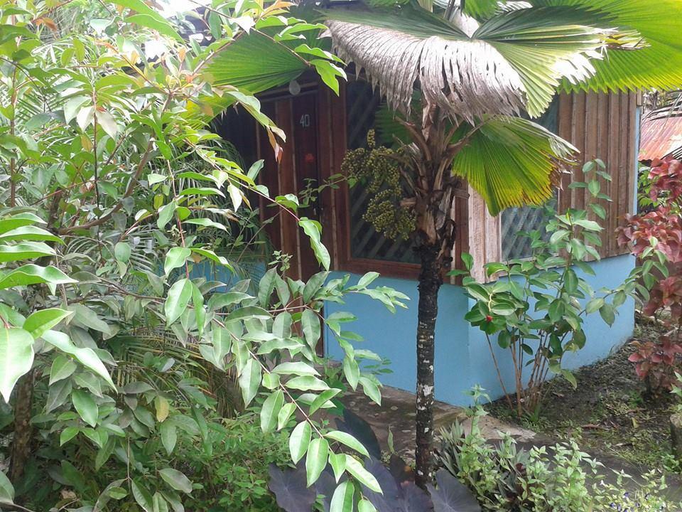 Hotel Puerto Viejo Puerto Viejo de Talamanca Zewnętrze zdjęcie