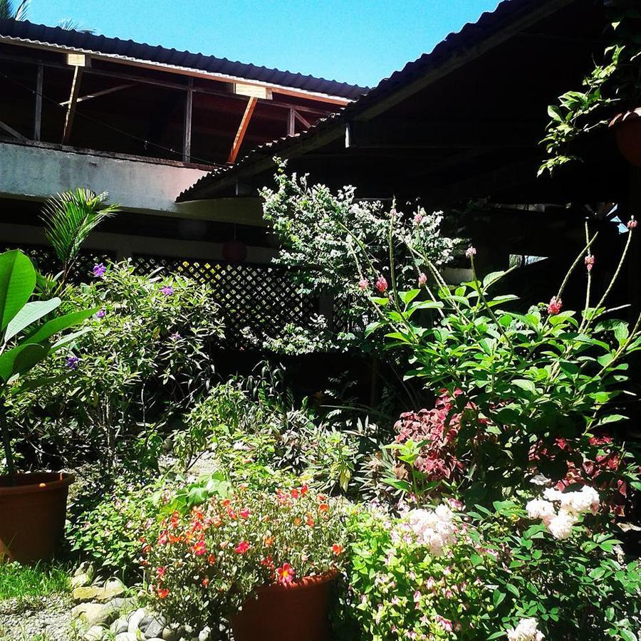 Hotel Puerto Viejo Puerto Viejo de Talamanca Zewnętrze zdjęcie